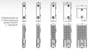 Stelrad Grzejnik PLANAR STYLE typ 22 600x2000mm 3268W 2