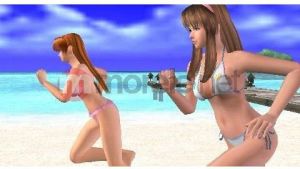 Dead or Alive: Paradise 14