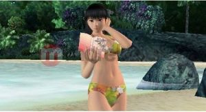 Dead or Alive: Paradise 4