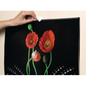 Tesa Haczyk samoprzylepny do obrazów POWERSTRIPS 2 szt. biały (H5803128) 6