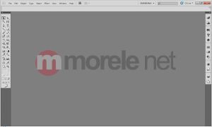 Adobe CS5 Design Std v.5 PL Win Ret (65057502) 2