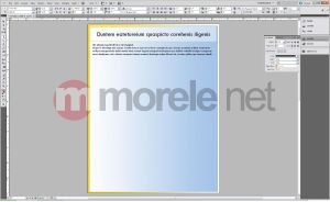 Adobe CS5 Design Std v.5 PL Win Ret (65057502) 5