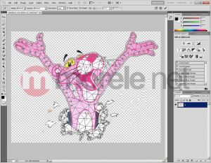 Adobe CS5 Design Std v.5 PL Win Ret (65057502) 6