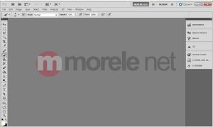 Adobe CS5 Design Std v.5 PL Win Ret (65057502) 7