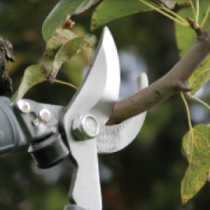 Sekator Modeco MN-08-141 nożycowy 3