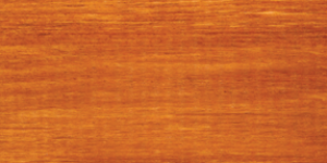 Drewnochron Impregnat extra powłokotwórczy tikowy 4.5L 5