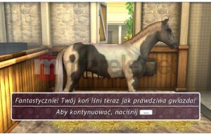 PG Kocham konie 2 PC 3