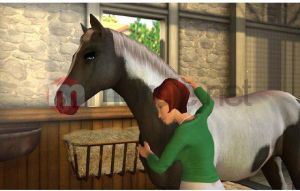 PG Kocham konie 2 PC 6