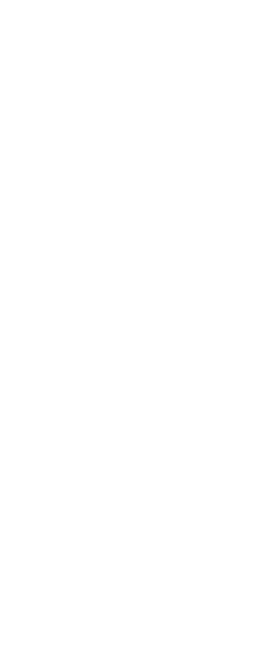 Neo Klucz trzpieniowy torx typ L T27 (09-554) 2