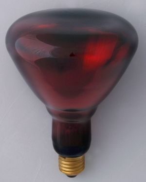Helios Promiennik podczerwieni rubinowy R123 E27 175W 230V szkło miękkie z podwójnym odbłyśnikiem PRO-1895 1