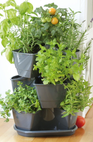 Prosperplast Doniczka Coubi 3-elementowa 295mm grafit (DKN3003-426U) 2