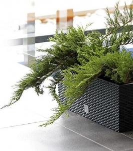 Prosperplast DONICZKA RATO CASE 500mm - ANTRACYT PDRTC500-S433 - DRTC500-S433 9