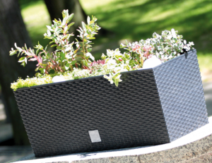 Prosperplast Doniczka RATO CASE 600mm umbra - DRTC600-440U 4