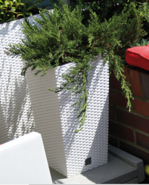 Prosperplast Doniczka Rato square wysokość 38cm - umbra 2