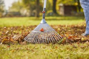 Gardena Grabie wachlarzowe Combisystem regulowane 30-50 cm (3103-20) 2