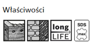 Bosch Koronka wiertnicza SDS-Max 125mm (F00Y145201) 4