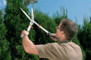 Gardena Nożyce do cięcia i formowania krzewów Comfort (399-20) 4