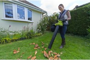 Ryobi Dmuchawa elektryczna RBV3000 CSV z odkurzaczem 3000 W 45L (5133002188) 9