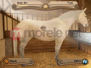 Młody Doktor - Konie i Kucyki PC 2