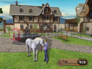 Młody Doktor - Konie i Kucyki PC 3