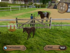 Młody Doktor - Konie i Kucyki PC 4