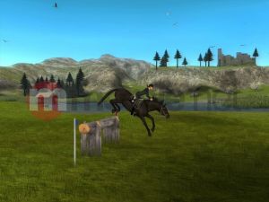 Młody Doktor - Konie i Kucyki PC 7