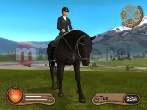 Młody Doktor - Konie i Kucyki PC 8