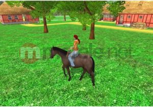 Młody Doktor - Stadnina Koni PC 2