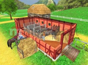 Młody Doktor - Stadnina Koni PC 3