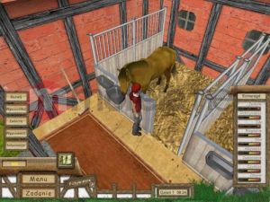 Młody Doktor - Stadnina Koni PC 5