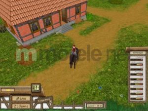 Młody Doktor - Stadnina Koni PC 7