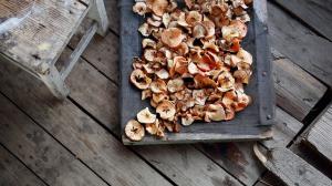 Suszarka MPM MSG-01 3