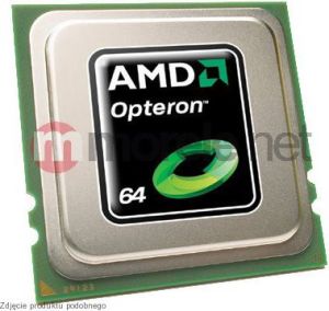 Procesor serwerowy AMD OPTERON 8C 6128 (OS6128WKT8EGO) 1