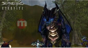 Shaiya - MMO bez abonamentu PC 2