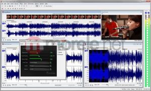 Sony Sound Forge Audio Studio 10 English 2