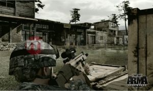 ARMA 2 Operation Arrowhead PC 5