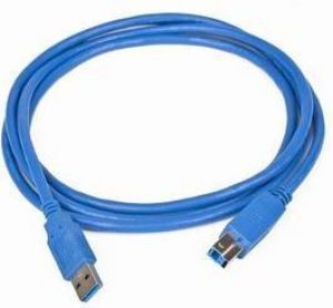 Kabel USB Gembird USB-A - USB-B 3 m Niebieski (CCPUSB3AMBM10) 1