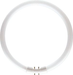 Świetlówka kompaktowa Philips TL5 Circular 2GX13 60W (8711500642592) 1
