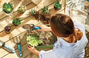 Cellfast Łopatka szeroka ergoline (42-001) 2