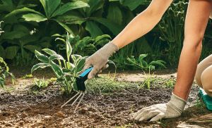 Cellfast Kultywator ergoline (42-004) 2