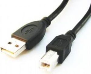 Kabel USB Gembird USB-A - 1.8 m Czarny (CCPUSB2AMBM6) 1