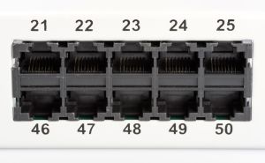 Digitus Patch panel ISDN 19" 1U 50 x RJ45 LSA kat.3 (DN-91350-1) 3