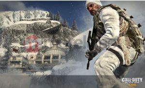 Call of Duty Black Ops PC 15