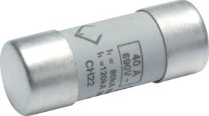 Hager Bezpiecznik cylindryczny BiWtz 22 x 58 gG 40A (LF540G) 1