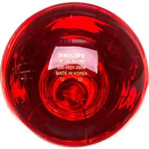 Philips Promiennik 250W InfraRed R125 1