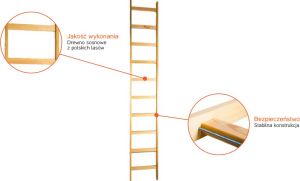 Best-Tools Drabina drewniana przystawna 1x7 (DRP7) 2