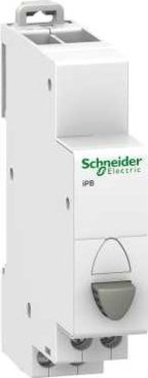 Schneider Przycisk modułowy 20A 1R szary iBP (A9E18030) 1