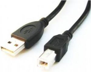 Kabel USB Gembird USB-A - USB-B 3 m Czarny (CCPUSB2AMBM10) 1