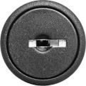 GE Power Łącznik pokrętny z kluczykiem 2 położenia stabilne z ramką (185400) 1