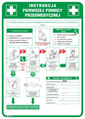 ANRO Tabliczka Instrukcja pierwszej pomocy przedmedycznej (IB13/P) 1